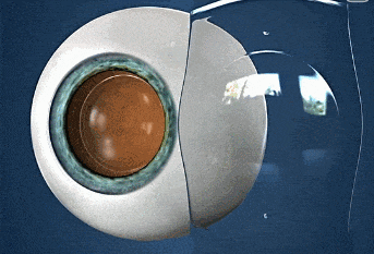 1742802736136902.jpg 8e2688602d8616e57b459ab656ef3ba7.jpg